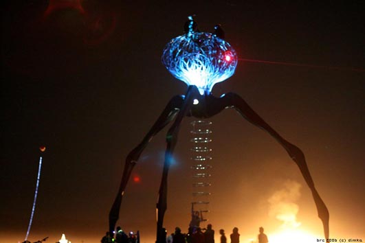 Burning Man Festival 2006