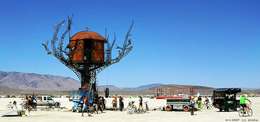 Burning Man Festival 2007