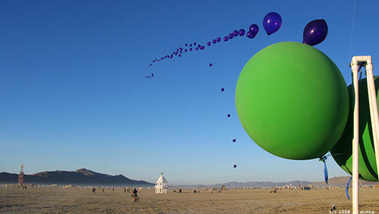 Burning Man Festival 2008