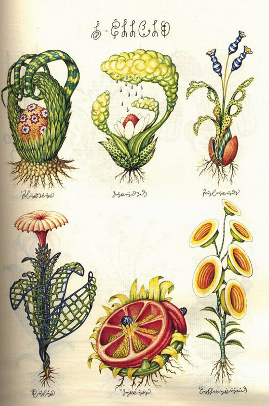 I've been exploring the strangest: book Codex Seraphinianus by Luigi  Serafini, here's one page. : r/wtfart