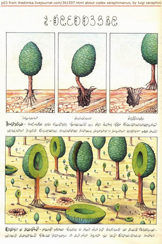 page from codex seraphinianus