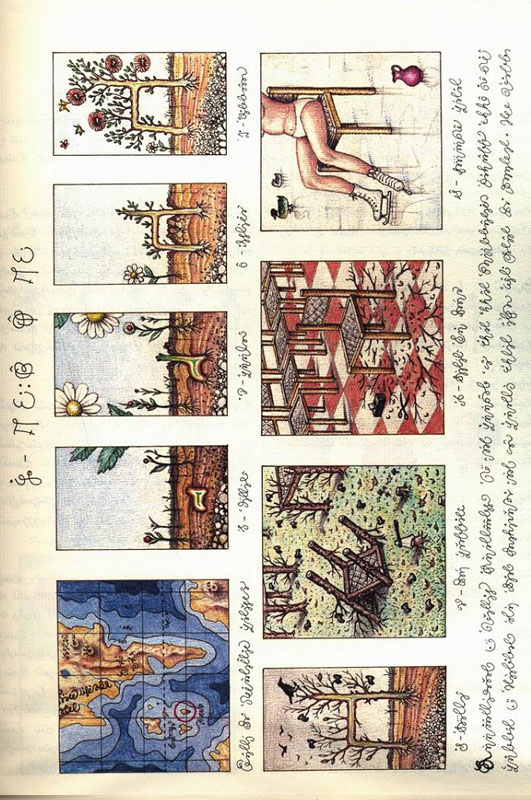 page from codex seraphinianus