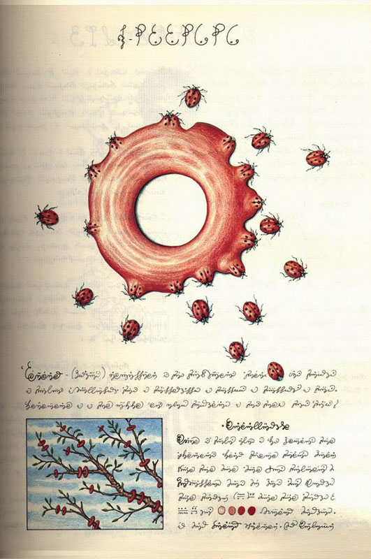 page from codex seraphinianus