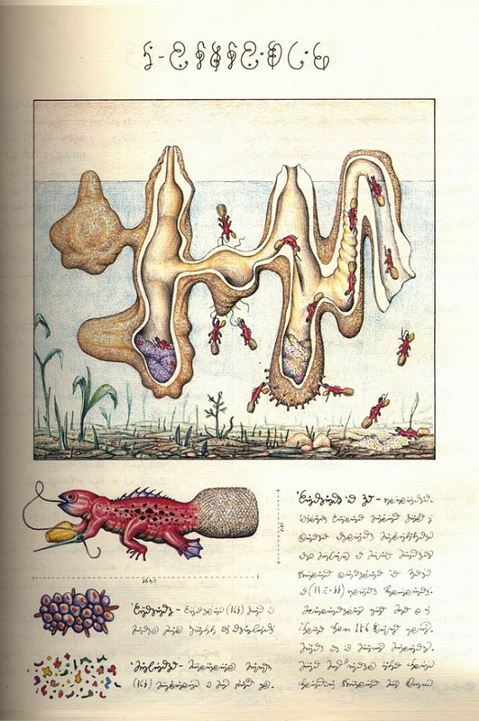 page from codex seraphinianus