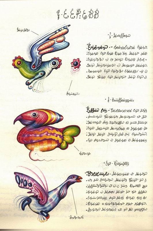 page from codex seraphinianus