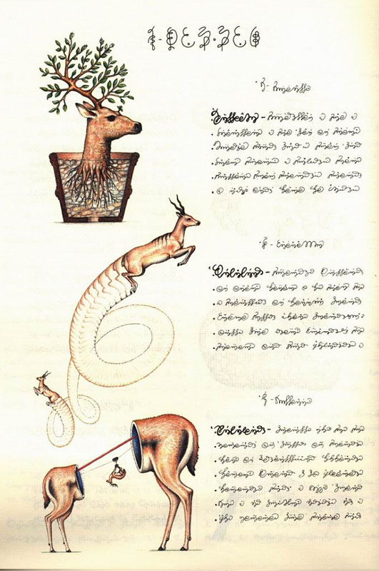 page from codex seraphinianus