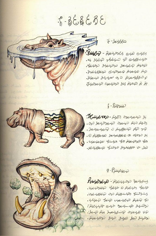 page from codex seraphinianus