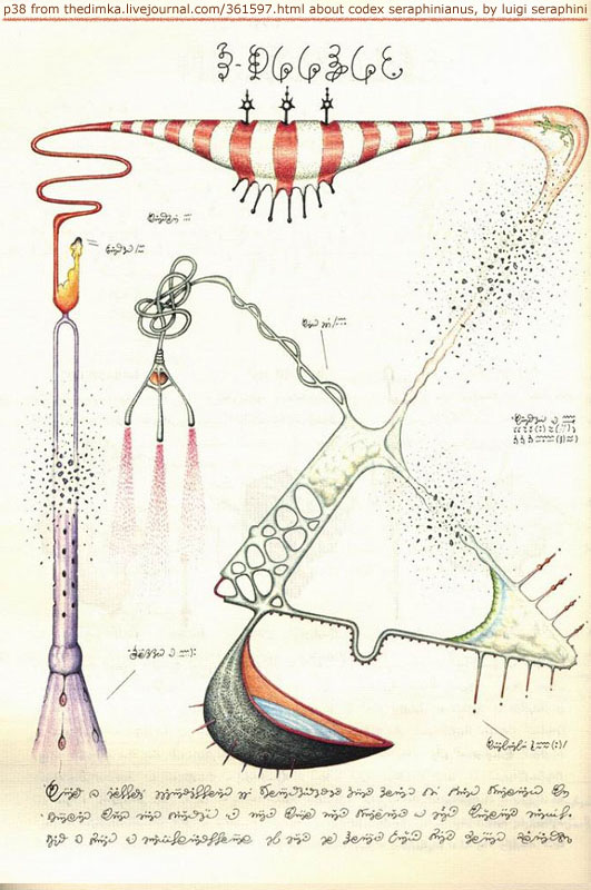 page from codex seraphinianus