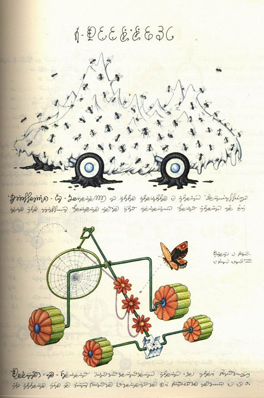 page from codex seraphinianus