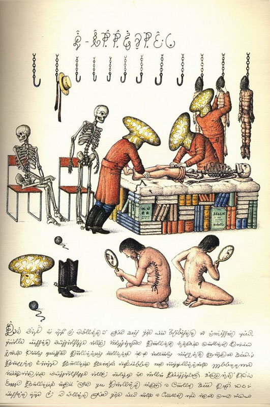 The weirdest book in the world: Codex Seraphinianus