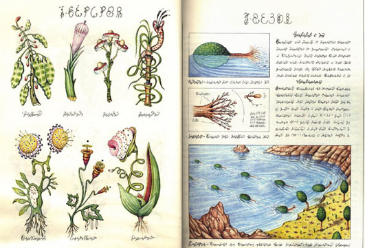 page from codex seraphinianus